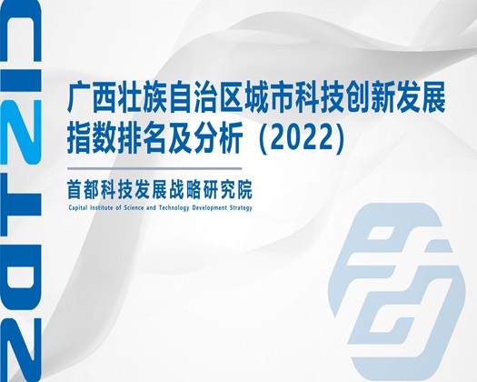 美女掰开屁股眼让我干【成果发布】广西壮族自治区城市科技创新发展指数排名及分析（2022）